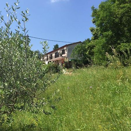 Apartment Cimbora, Salara Farmhouse Koper Exterior foto