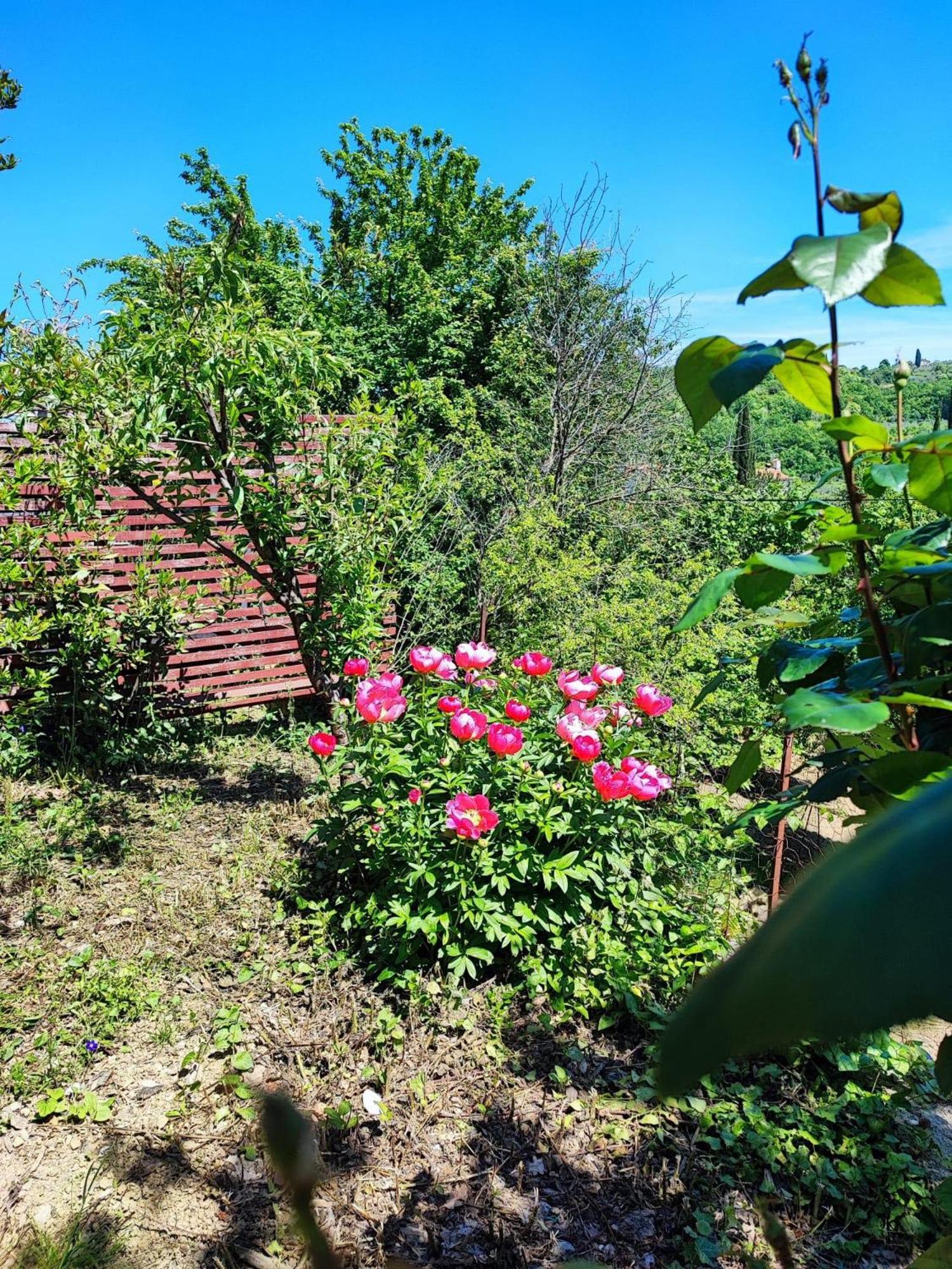 Apartment Cimbora, Salara Farmhouse Koper Exterior foto